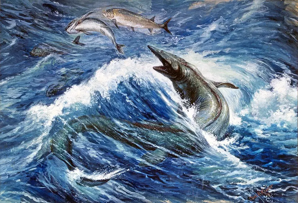 La vie dans les mers du Crétacé telle qu’on se la représentait en 1899 : un tylosaure, grand reptile marin, peint par Charles R. Knight pour l’American Museum of Natural History.