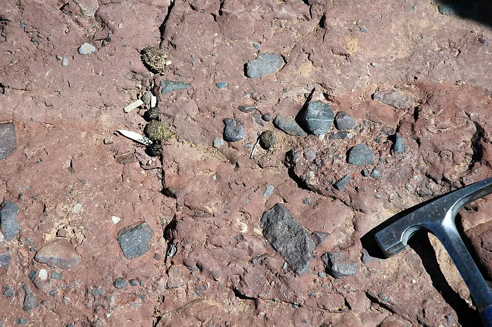 Une tillite de la formation d’Elatina, un ensemble de couches de roches des Flinders Ranges, en Australie-Méridionale. Une tillite est une roche formée des débris qu’un glacier a laissés derrière lui ; le marteau sert d’échelle. Les glaciations que signale la bande ont laissé des dépôts de ce genre.
