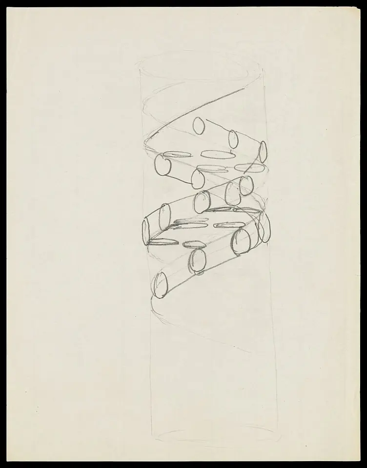 Pencil sketch of the DNA double helix by Francis Crick: a right-handed helix whose two strands run in opposite directions.