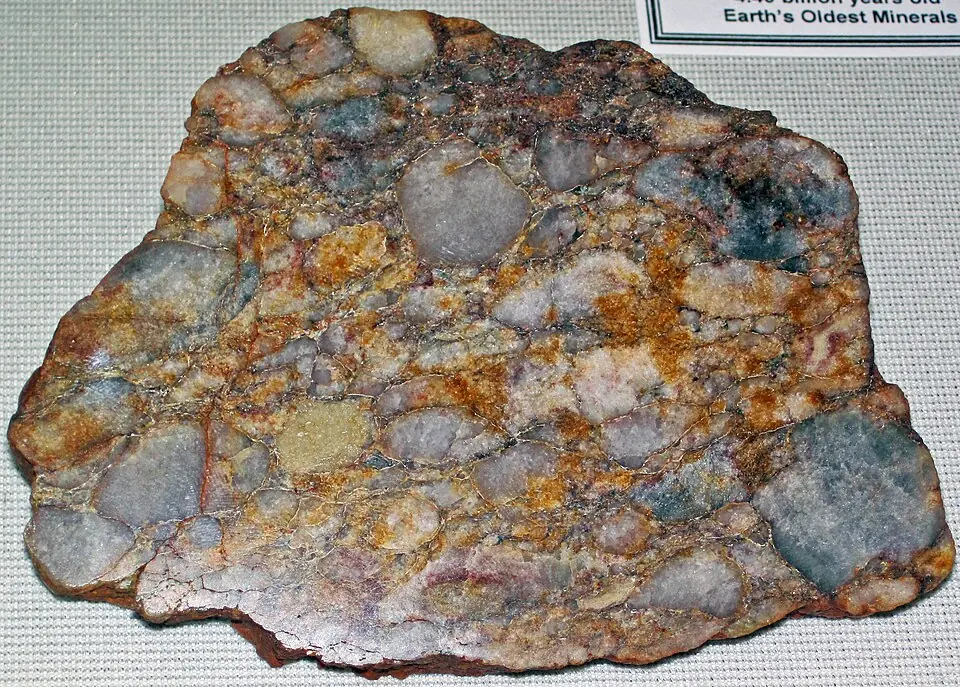 Polished specimen of the Jack Hills metaconglomerate, Western Australia, a rock made of quartz pebbles bound together. Such rocks contain the Jack Hills zircons, the oldest mineral grains known on Earth. Cranbrook Institute of Science.