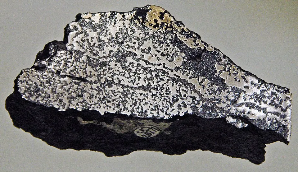 Basalte des trapps de Sibérie, du plateau de Poutorana (Russie), scié pour montrer le fer natif qu’il contient, le métal clair. Spécimen CM 28271 du Carnegie Museum of Natural History.