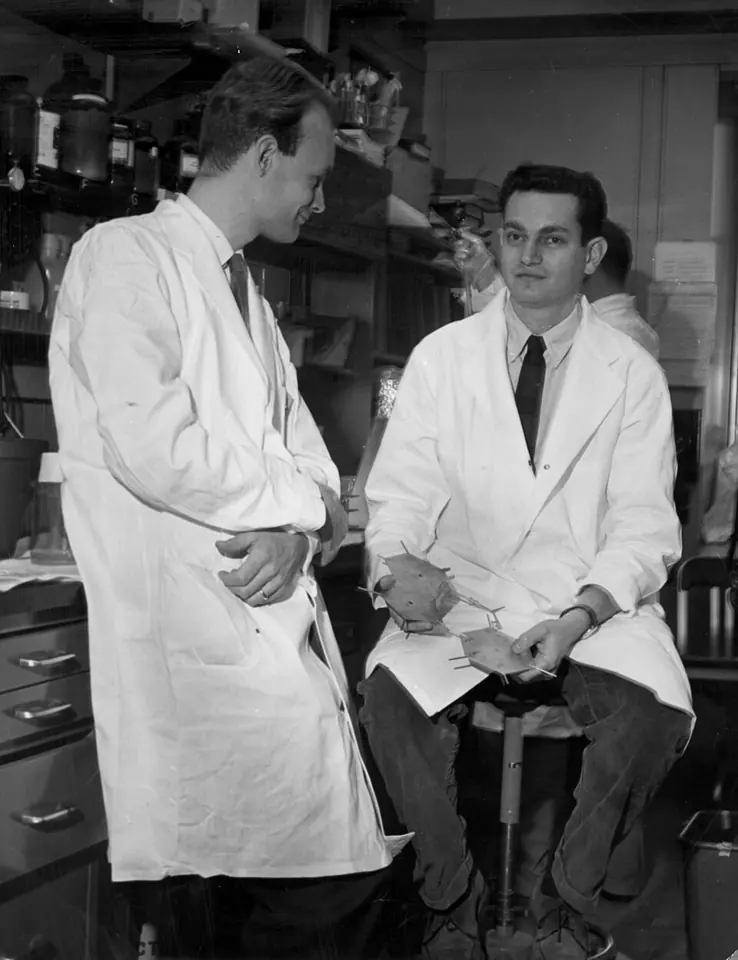 Heinrich Matthaei and Marshall Nirenberg in 1961. Their experiments gave the first clue to the genetic code. Photograph by N. MacVicar, National Institutes of Health.