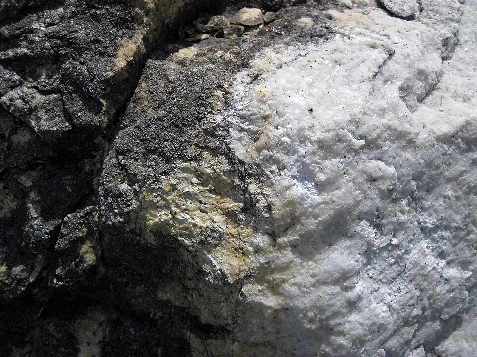 Du marbre blanc dans les basses terres des Adirondacks, dans l’État de New York. C’est un calcaire que la chaleur et la pression ont transformé il y a environ 1,1 milliard d’années, pendant l’orogenèse grenvillienne. La roche sombre, à gauche, est du marbre altéré par la suite.