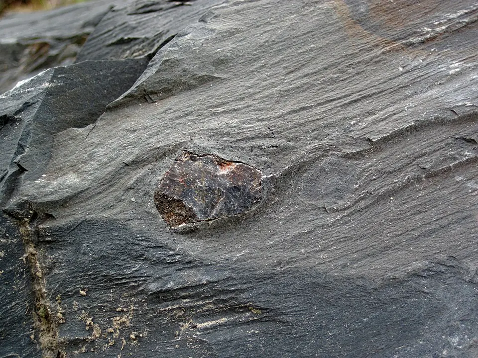A dropstone in the Gowganda Formation, Ontario, about 2.3 billion years old. Melting ice released this pebble into the mud below, and it bent the layers on which it fell.