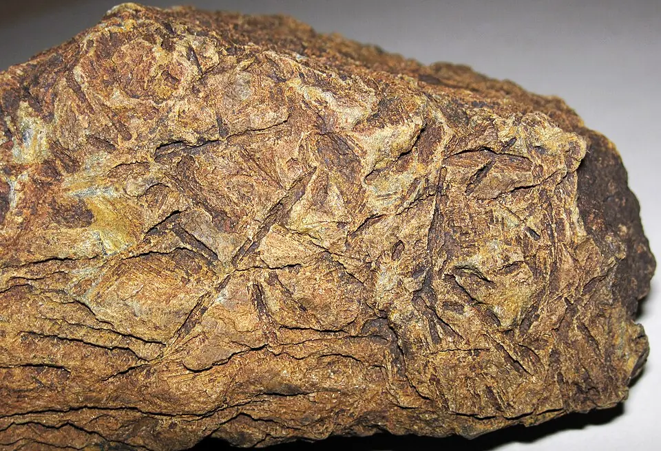 Weathered komatiite from the Komati Formation, South Africa, about 3.48 billion years old. The criss-crossing blades form the texture called spinifex: crystals that grew as the lava cooled.