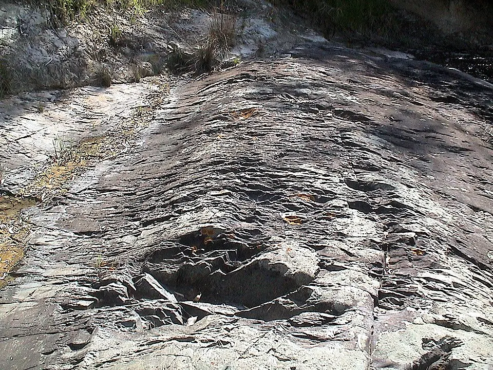 A glacial pavement, a rock surface scraped by moving ice, which left grooves and striations on it. It is of Permian age. Selwyn Rock, on the Inman River, in South Australia.