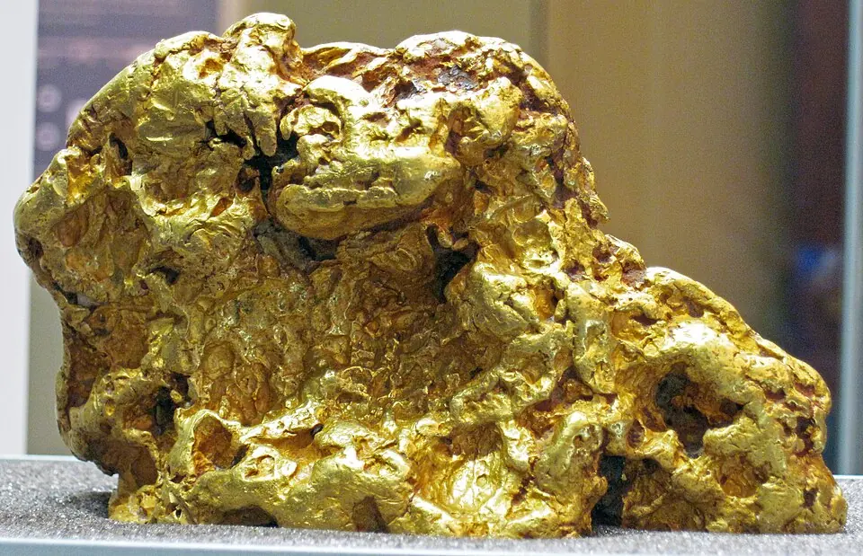 A gold nugget from Australia weighing nearly 1.8 kilograms. Field Museum of Natural History, Chicago.