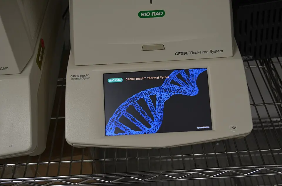 A thermal cycler, the machine that runs the cycles of heating and cooling of PCR, at the Whitney Genetics Laboratory of the U.S. Fish and Wildlife Service.