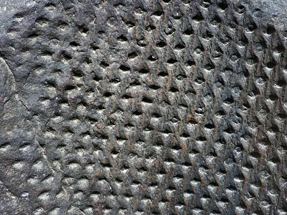 Bark of Lepidodendron, a tree of the Carboniferous coal forests: each diamond marks the place of a leaf.