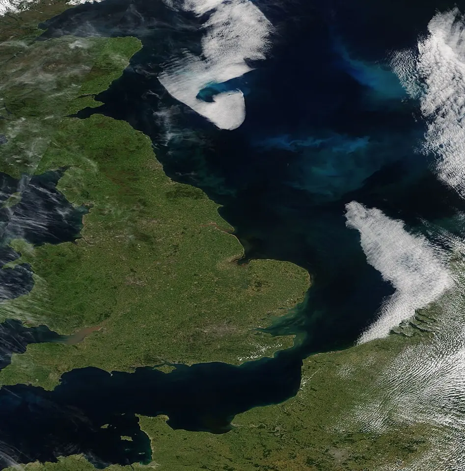 A bloom of phytoplankton colours the North Sea off England, in an image taken by NASA's Terra satellite on 25 June 2018. Phytoplankton are microscopic organisms that live by photosynthesis: they are the producers of organic matter in the ocean. Among these producers, the entry sets algae against bacteria.