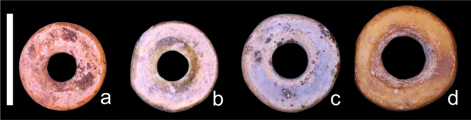 Ostrich eggshell beads from South Africa (a, b) and Tanzania (c, d), dated to the Holocene, the last twelve thousand years or so. The scale bar represents 5 millimetres.