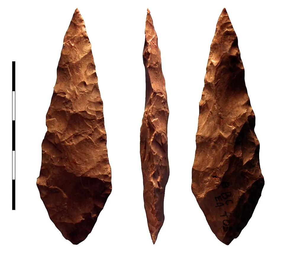 A silcrete point shaped on both faces, seen from three sides. About 73,000 years old, it comes from Blombos Cave, a different South African site from the one in the entry. Silcrete is the rock that was heated before being knapped; the photograph does not show whether this piece was heated. The scale bar represents 5 centimetres.