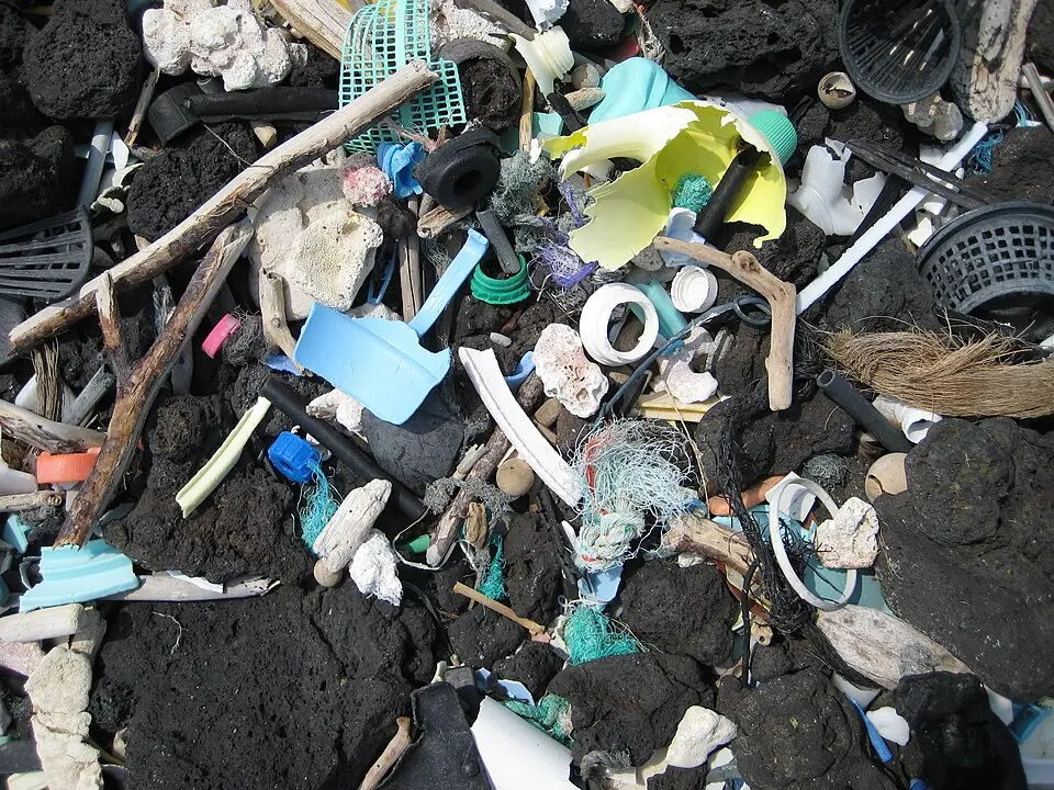 Pieces of plastic washed up on a beach of black rock on the island of Hawaii, in 2008.