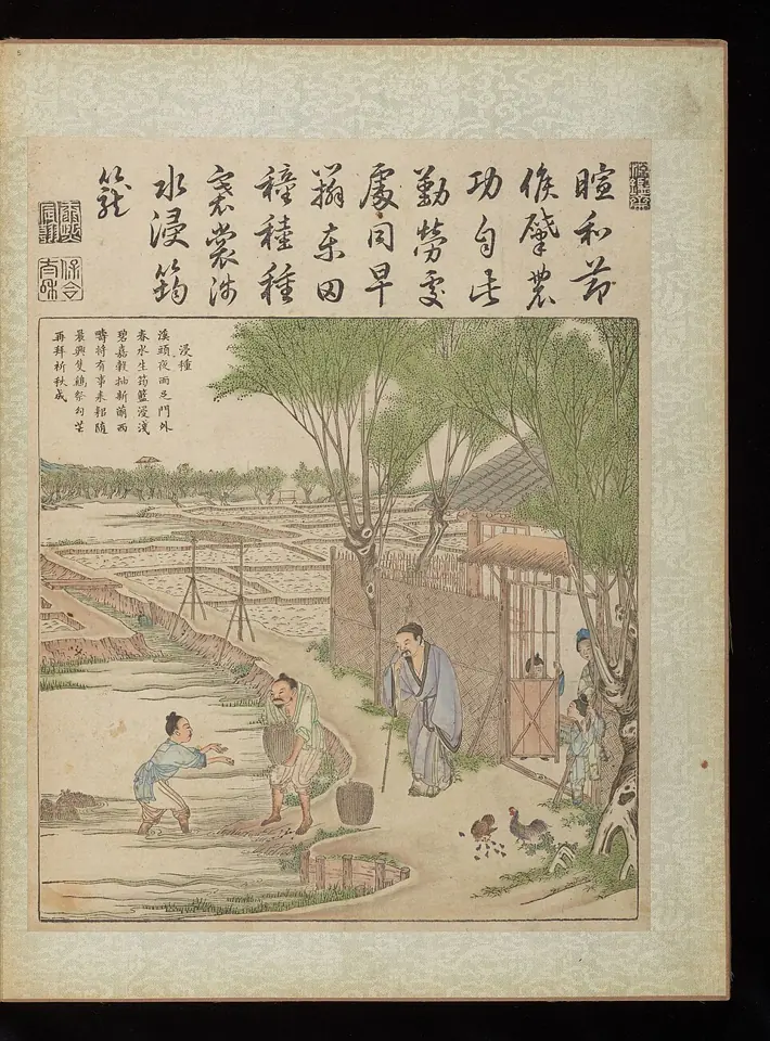 Le trempage des semences de riz : un homme tend un panier à un autre, entré dans l'eau, au bord de rizières inondées. Estampe imprimée en Chine en 1696, tirée du Yuzhi Gengzhi tu, un recueil d'images commandé par l'empereur, qui montre l'agriculture et la fabrication de la soie ; elle a été gravée sur bois par Zhu Gui d'après des dessins de Jiao Bingzhen. Chester Beatty Library, Dublin.