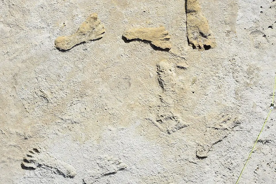 Human footprints preserved in gypsum at White Sands National Park, New Mexico. The National Park Service gives them an age of 23,000 to 21,000 years.